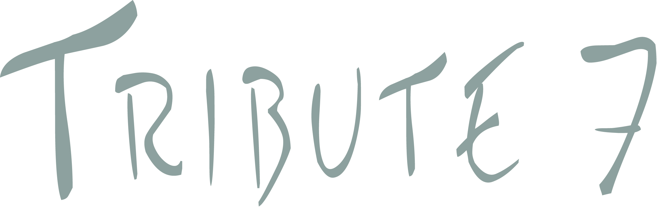 Tribute Emblem Rahmen NEU 84x32R4