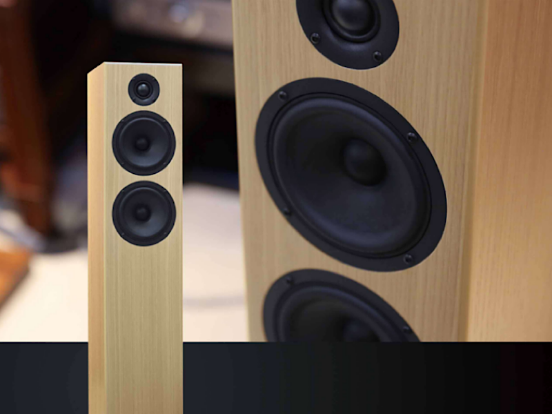 身材与能量的反差之美,Totem Acoustic Bison Twin Tower座地式音箱