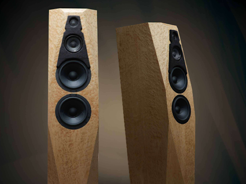 独树一帜的个性,Avalon Precision Monitor 2.2座地式音箱